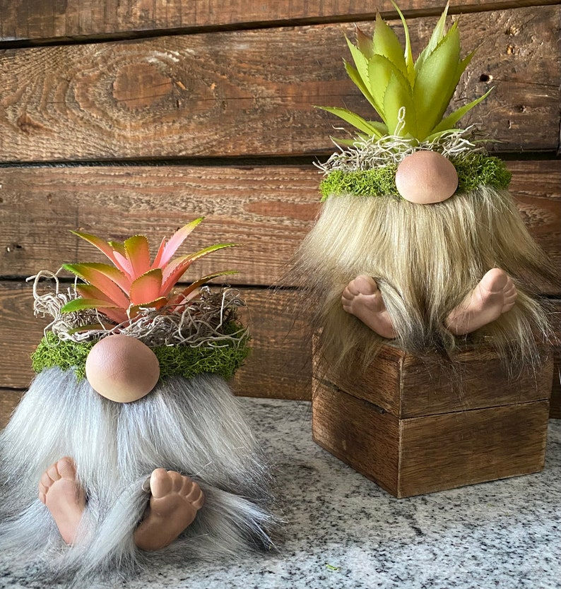 Thumbnail: Gnomes, planters, gifts, decor, pots, succulents, gnomes with feet