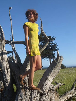 Organic cotton dress colby tromblee