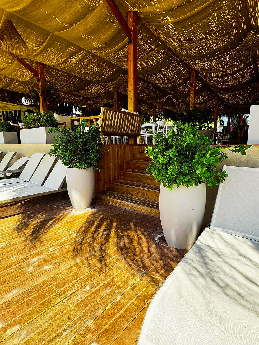 Polyester Saksılar - White Beach Ayayorgi