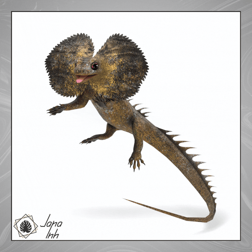 Frilled Lizard Follower