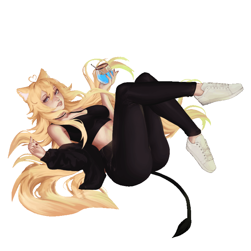 transparent.gif