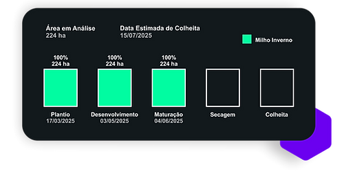 etapas de desenvolvimento.png