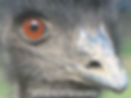 i have my beady eye on you
