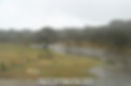 the bellinger river floods
