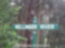 bellinger river flooded big style