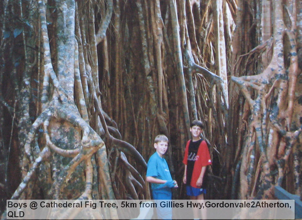 Two children standing among large tree roots.