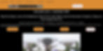 home page for HOLIDAY2013 site pre 7 dec 2021