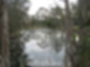 darlington beach pond
