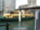 circular quay views