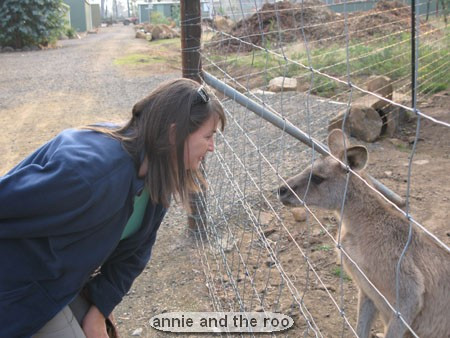 Woman interacting with kangaroo through a fence.