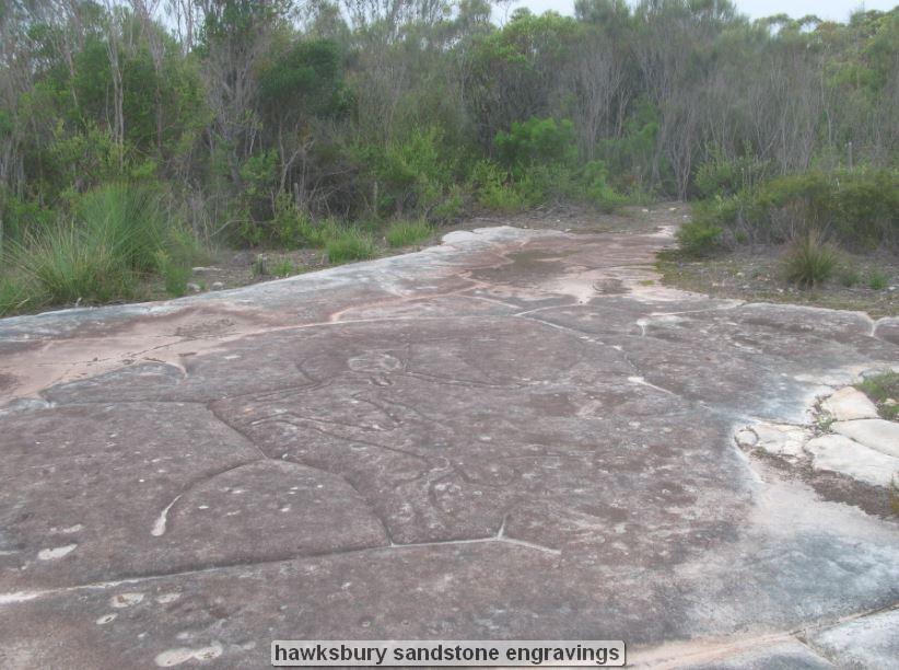 Ancient sandstone engravings in a natural setting.