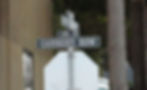 signs of steinbeck