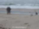 fishing at lennox point