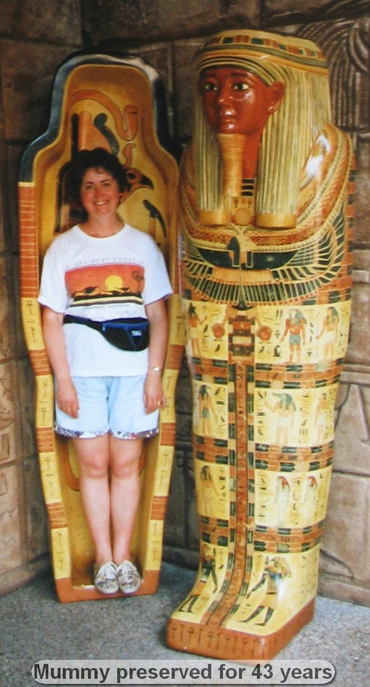 Person standing next to an Egyptian sarcophagus display.