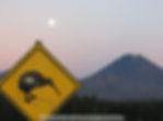 image of mount doom and kiwi road sign