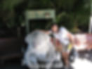 annie _ taronga zoo