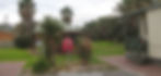 image of palm tree and chalet, adelaide shores holiday resort