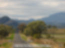 the wonderful Warrumbungle NP