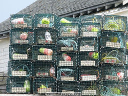 wonderful peggys cove