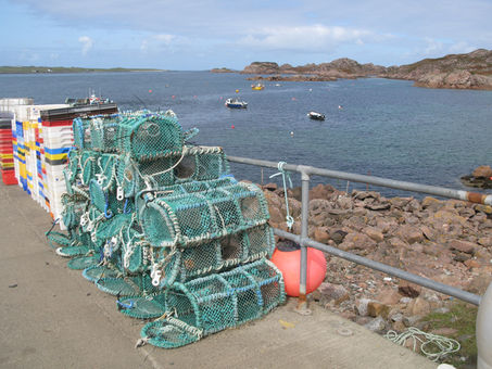 Blog 131 Scottish Islands Tour, Trip 2 🌠 2018
