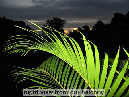 night view from our balcony