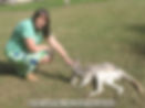 annie and the roo,port macquarie