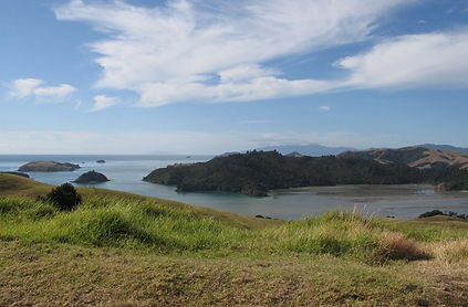 coromandel peninsular
