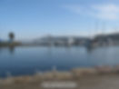 gosford harbour