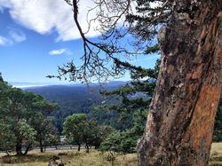 centre of the universe observatory (1)
