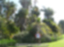 keef botanic gardens sydney