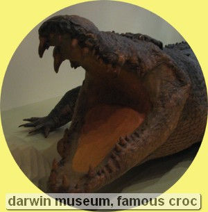 darwin museum, famous croc