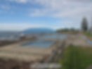 shellharbour pools