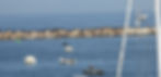 look at all those seals