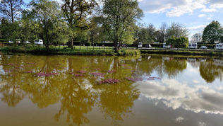 Blog 200 - Exploring the Historic Charm of Shropshire: Travel Blog A Week Away in Salop