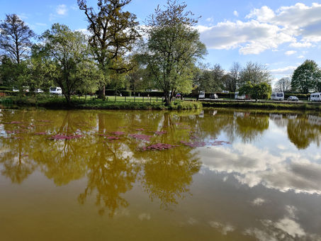 Blog 200 - Exploring the Historic Charm of Shropshire: Travel Blog A Week Away in Salop