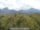 view from whitegum lookout