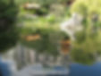more chinese gardens