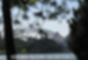 sydney icons from near mrs macs chair