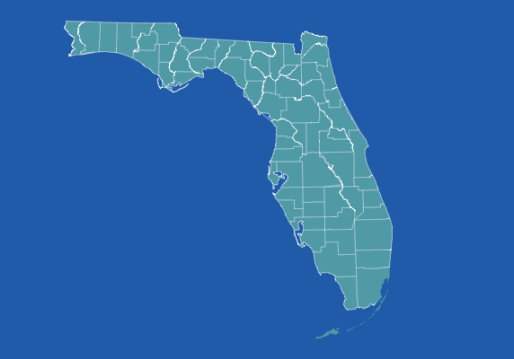 Buying Property in Florida