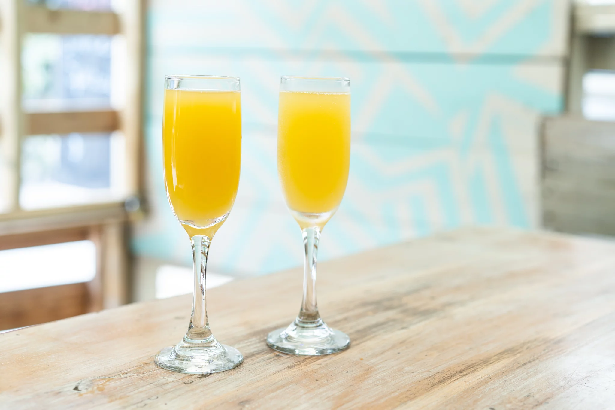 mimosa.webp