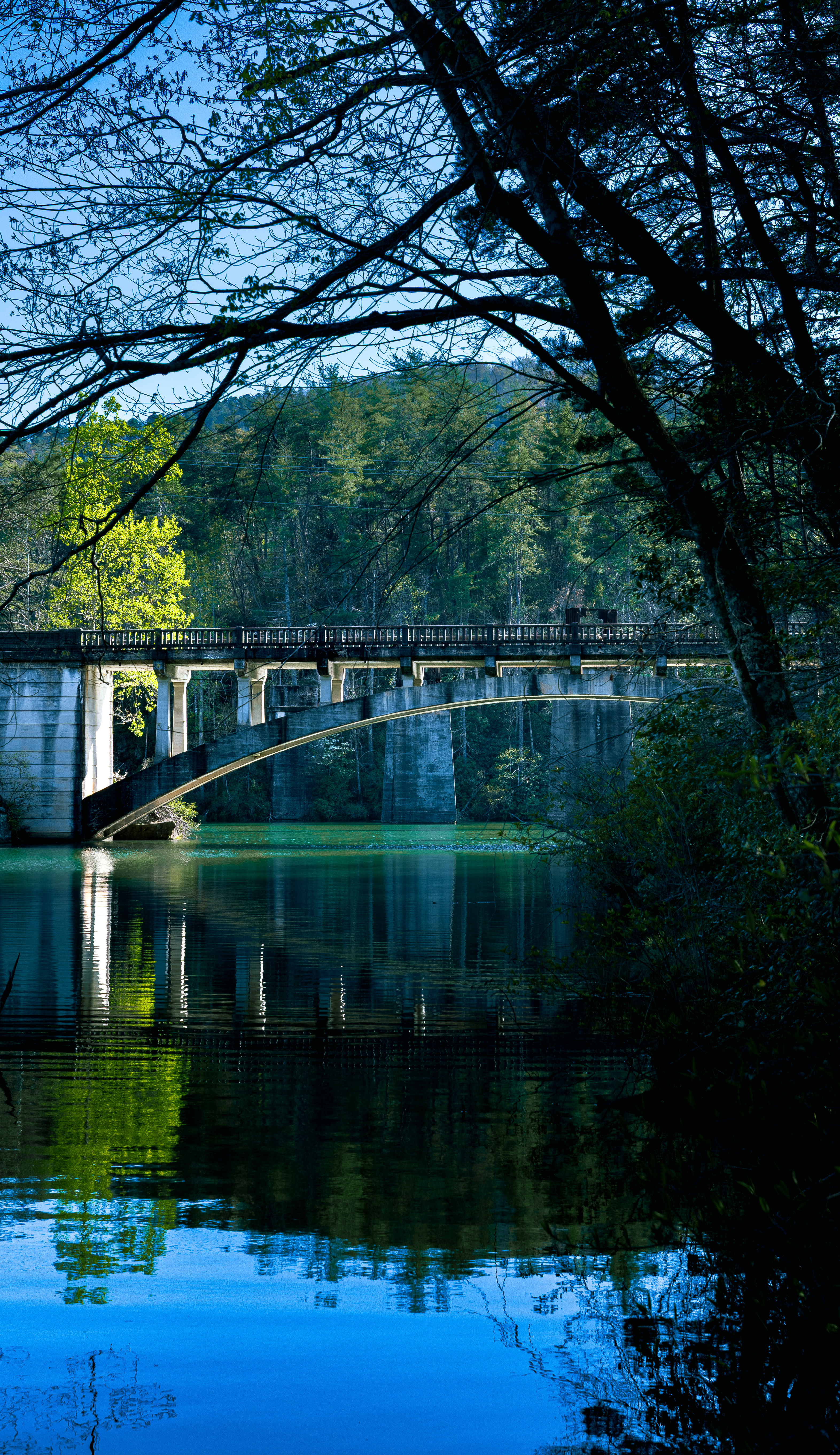 Bridging to a New Season