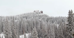 Rabbit on the Horizon