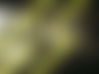 Hard Lesson, Great Experience