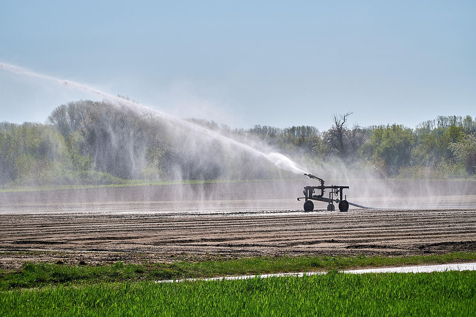 A field being watered with an irrigation system.