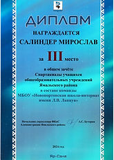 Салиндер Мирослав_3_Спартакиада учащихся ОУ.jpeg