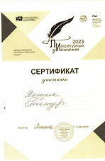 Яптик Тимур_Сертификат_Литературный дидиктант.jpeg