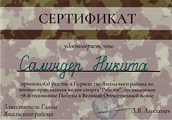 Сертификат_Салиндер Никита_Рубежи_Участие.jpeg