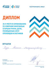 Диплом_Худи Евгений_Северное многоборье_3.jpeg
