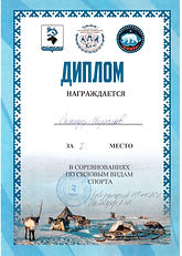 Диплом_Салиндер Мирослав_Силовые виды спорта_1.jpeg