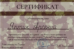 Сертификат_Яптик Арсений_Рубежи_Участие.jpeg